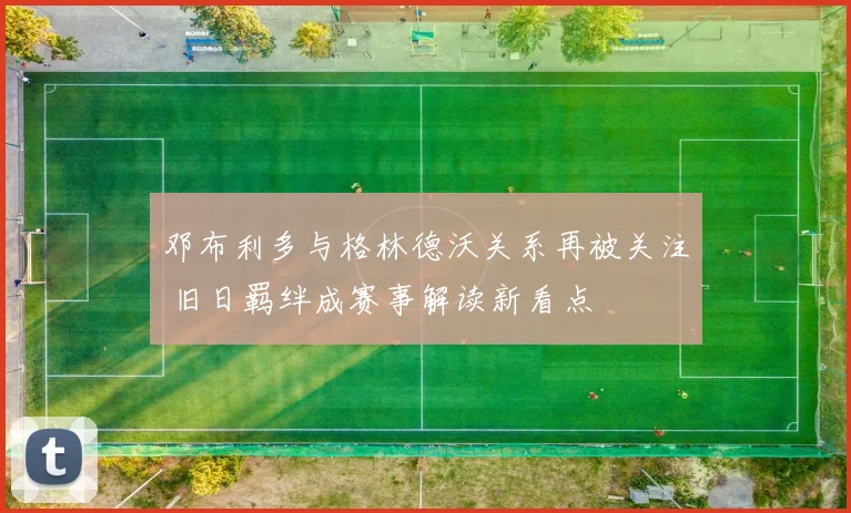 邓布利多与格林德沃关系再被关注 旧日羁绊成赛事解读新看点