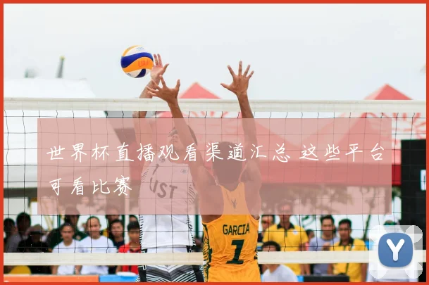 世界杯直播观看渠道汇总 这些平台可看比赛
